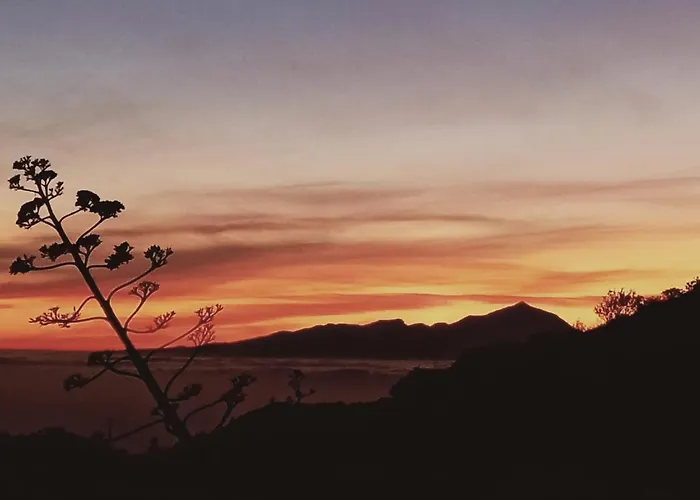 Casa Leon 아파트 테헤다